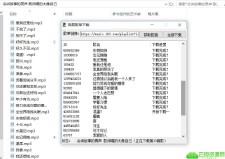 网易云音乐歌单批量下载源码