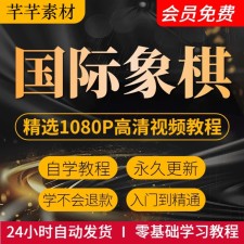《零基础学国际象棋》