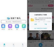 视频下载鸟v20.06高级版