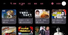 BV（哔哩哔哩第三方TV版）v0.3.13 支持动态|杜比视界